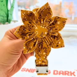 Design – Sunny Daisy