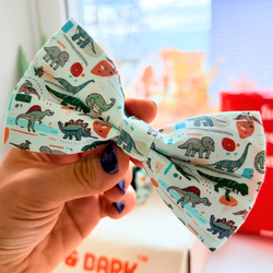 Design – Mint Snappy Dino