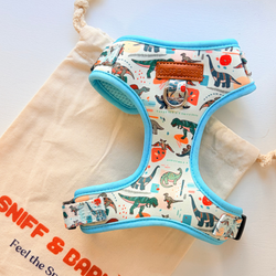 Design – Mint Snappy Dino