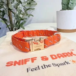 Design – Coral Fetch