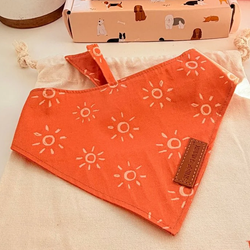 Design – Suns