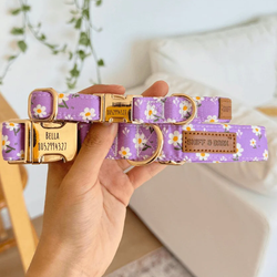 Design – Purple Daisy