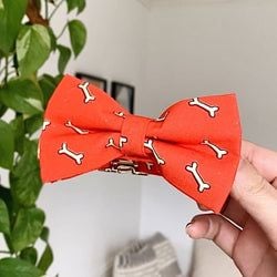 Design – Coral Fetch