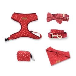 Red Polka Dot