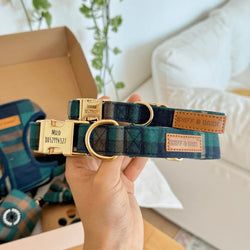 Design – Gentleman