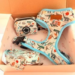 Design – Mint Snappy Dino