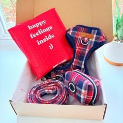 Crimson Navy Plaid