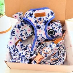 Design – Ivy