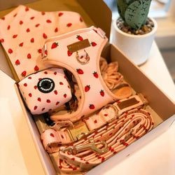 Design – Rosie Strawberry