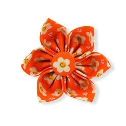 Tangerine Dreams