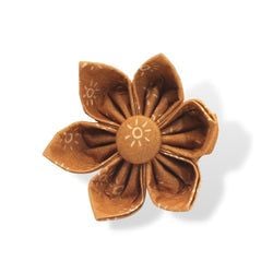 Ambar Suns