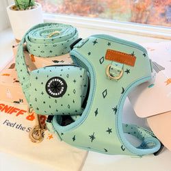 Design – Teal Stars
