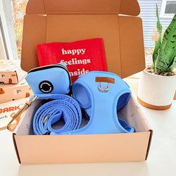 Design – Baby Blue