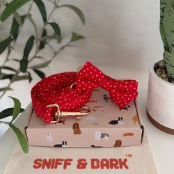 Design – Red Polka Dot