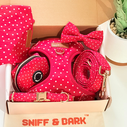 Design – Red Polka Dot