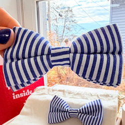 Design – Blue Stripes