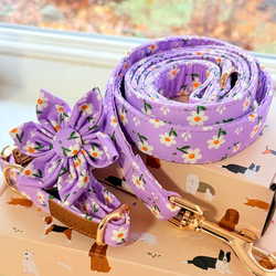 Design – Purple Daisy