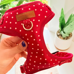 Design – Red Polka Dot