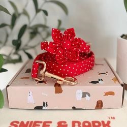 Design – Red Polka Dot