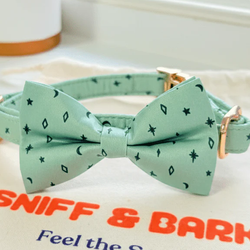 Design – Stars