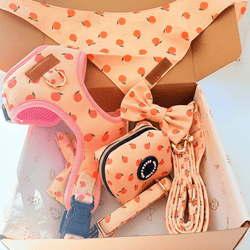 Design – Peach Blush