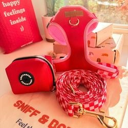 Design – Checker Pink