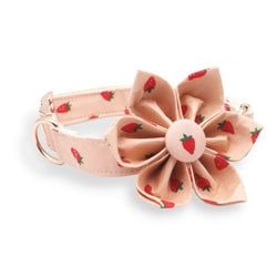 Design – Rosie Strawberry