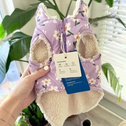 Design – Purple Daisy