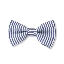 Blue Stripes