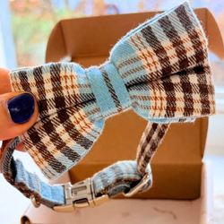 Design – Blue Teddy Plaid