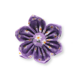 Purple Daisy