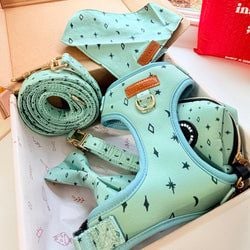 Design – Teal Stars