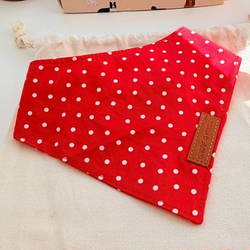 Design – Red Polka