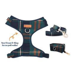 Design – Gentleman
