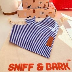 Design – Blue Stripes