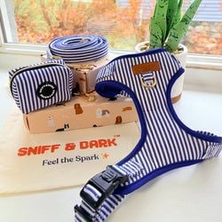 Design – Blue Stripes