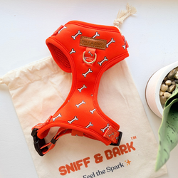Design – Coral Fetch