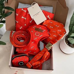 Design – Coral Fetch