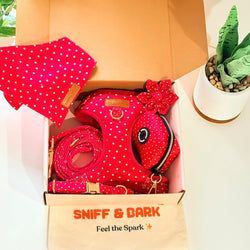 Design – Red Polka Dot