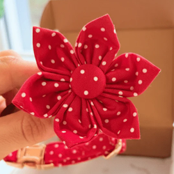 Design – Red Polka