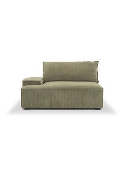 Module – Left Armrest