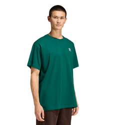 Culoare – Verde