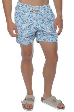 Culoare – Albastru