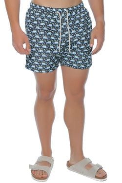 Culoare – Albastru