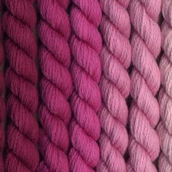 Color Family – Pinks and Reds