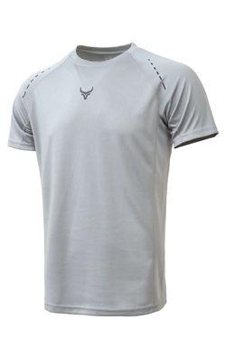 Color – SILVER