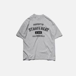 Colorway – HEATHER GREY