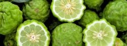 Natural Aroma – Amyris Bergamot