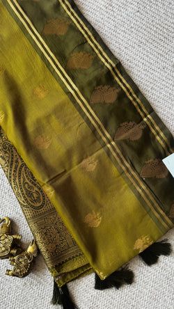 Colours – OLIVE