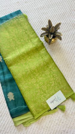 Colours – BOTTLEGREEN WITH PISTA
